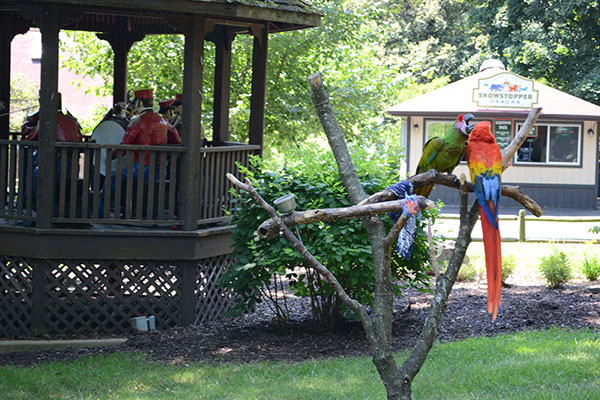 The Bird Show is a highlight in this park.