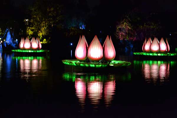 The colorful floats enter the lagoon for Rivers of Light at Disney's Animal Kingdom.