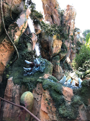 The queue for Flight of Passage sets the stage perfectly and is a gorgeous view at Disney's Animal Kingdom.