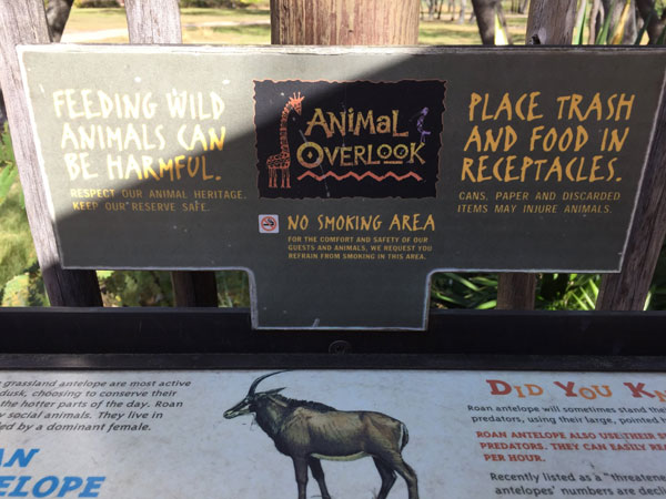 The information on the animals in the outside area of the Animal Kingdom Lodge is well-done.