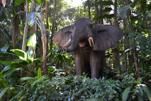 An elephant at the Jungle Cruise in The Magic Kingdom.