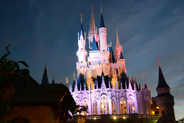Cinderella Castle is the icon for all of Walt Disney World and the company in general.