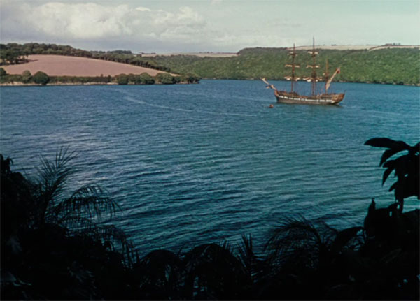 Disney considered making Discovery Island more themed to pirates when it originally opened at Walt Disney World.