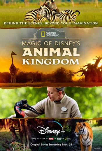 Disney Plus is streaming Magic of Disney's Animal Kingdom right now.