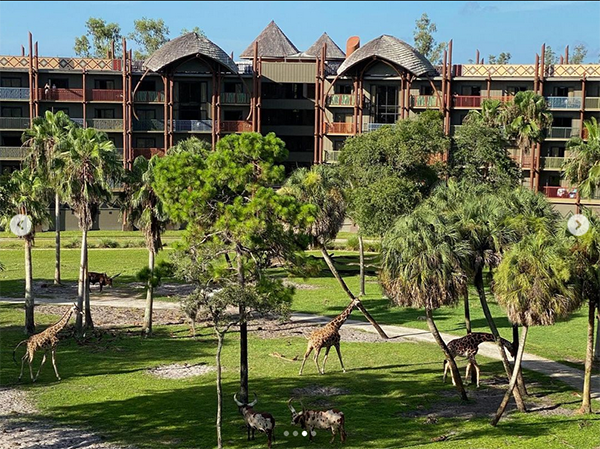 Lauren Staniszewski talks about her stay at Disney's Animal Kingdom Lodge in Walt Disney World.